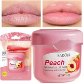 بالم لب SADOER مدل Anti-Cracking